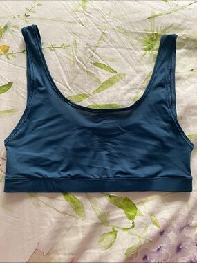 SKIMS Blue Jelly Sheer Scoop Neck Bralette